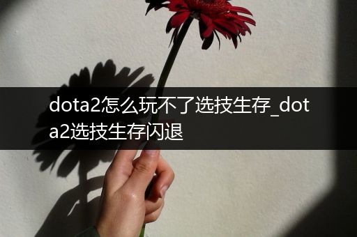 dota2怎么玩不了选技生存_dota2选技生存闪退
