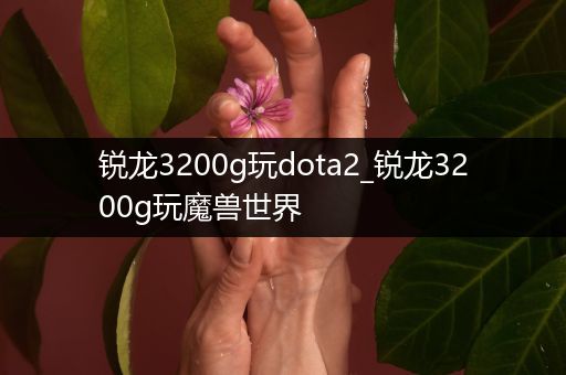 锐龙3200g玩dota2_锐龙3200g玩魔兽世界