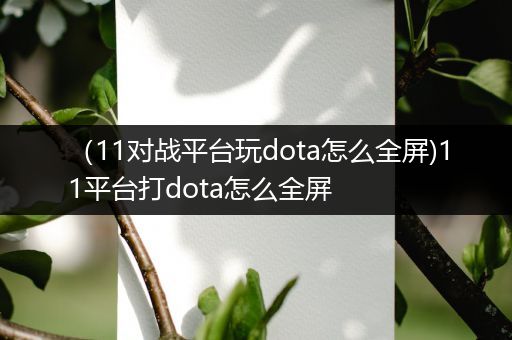 （11对战平台玩dota怎么全屏)11平台打dota怎么全屏