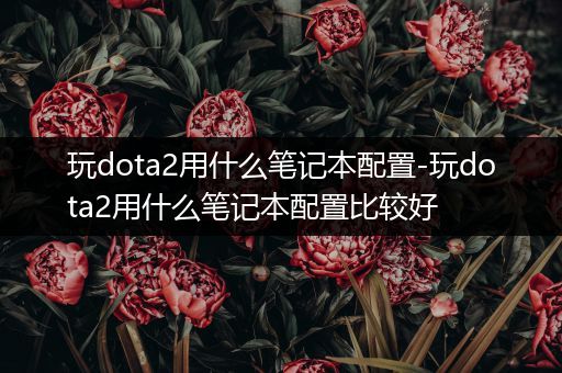 玩dota2用什么笔记本配置-玩dota2用什么笔记本配置比较好