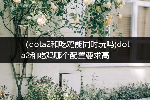 （dota2和吃鸡能同时玩吗)dota2和吃鸡哪个配置要求高