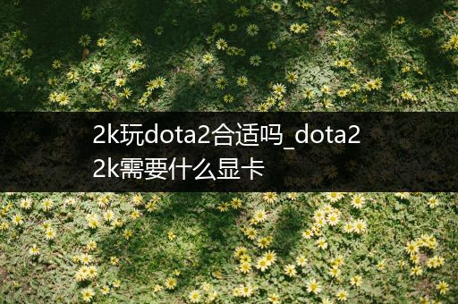 2k玩dota2合适吗_dota2 2k需要什么显卡