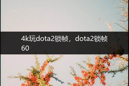 4k玩dota2锁帧，dota2锁帧60
