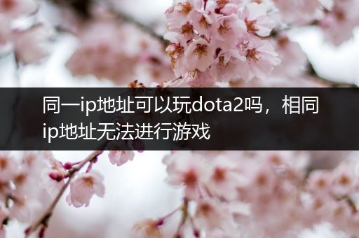 同一ip地址可以玩dota2吗，相同ip地址无法进行游戏