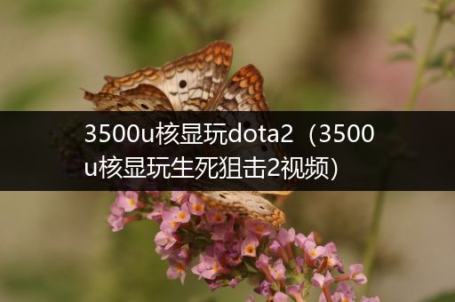 3500u核显玩dota2（3500u核显玩生死狙击2视频）