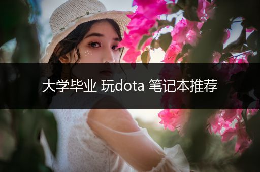 大学毕业 玩dota 笔记本推荐