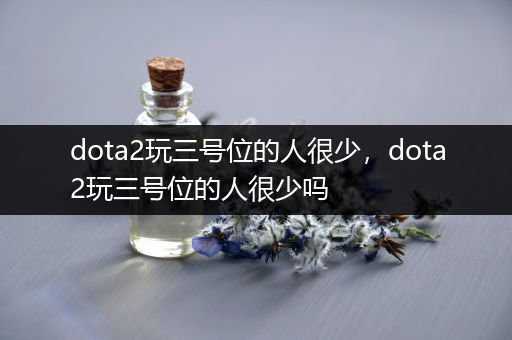 dota2玩三号位的人很少，dota2玩三号位的人很少吗