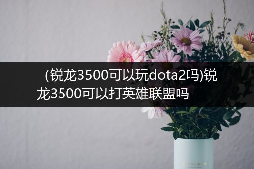 （锐龙3500可以玩dota2吗)锐龙3500可以打英雄联盟吗