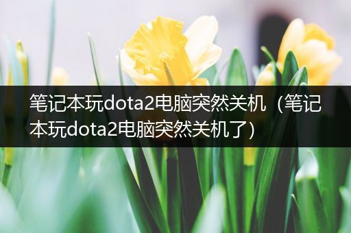 笔记本玩dota2电脑突然关机（笔记本玩dota2电脑突然关机了）