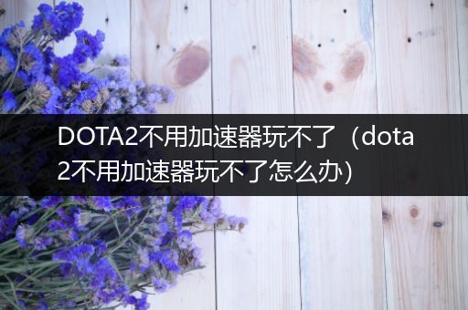 DOTA2不用加速器玩不了（dota2不用加速器玩不了怎么办）