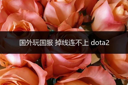国外玩国服 掉线连不上 dota2
