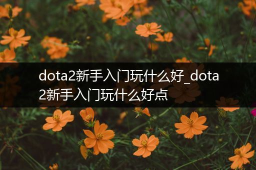 dota2新手入门玩什么好_dota2新手入门玩什么好点