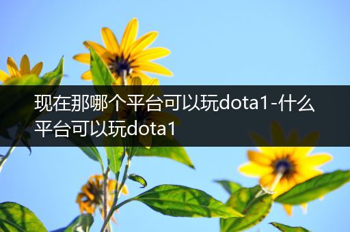 现在那哪个平台可以玩dota1-什么平台可以玩dota1