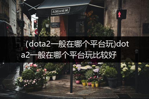 （dota2一般在哪个平台玩)dota2一般在哪个平台玩比较好