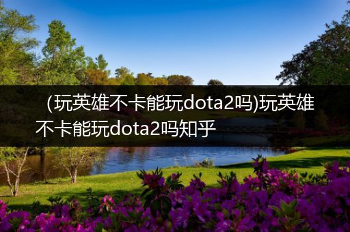 （玩英雄不卡能玩dota2吗)玩英雄不卡能玩dota2吗知乎