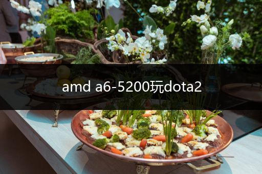 amd a6-5200玩dota2