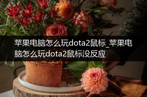 苹果电脑怎么玩dota2鼠标_苹果电脑怎么玩dota2鼠标没反应