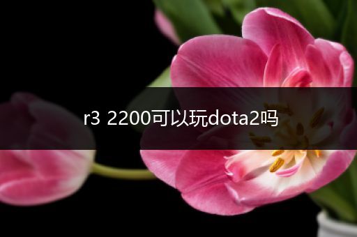 r3 2200可以玩dota2吗