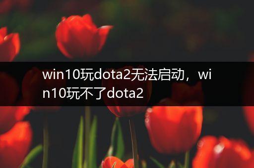 win10玩dota2无法启动，win10玩不了dota2