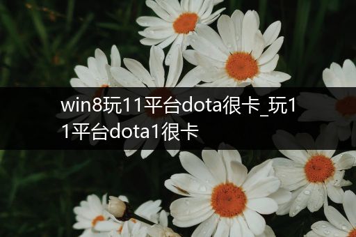 win8玩11平台dota很卡_玩11平台dota1很卡