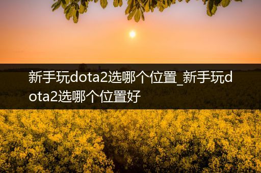新手玩dota2选哪个位置_新手玩dota2选哪个位置好