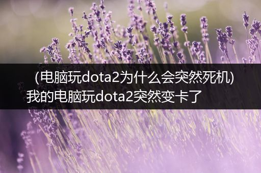 （电脑玩dota2为什么会突然死机)我的电脑玩dota2突然变卡了