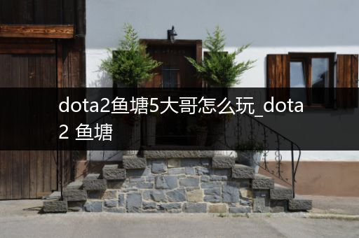 dota2鱼塘5大哥怎么玩_dota2 鱼塘