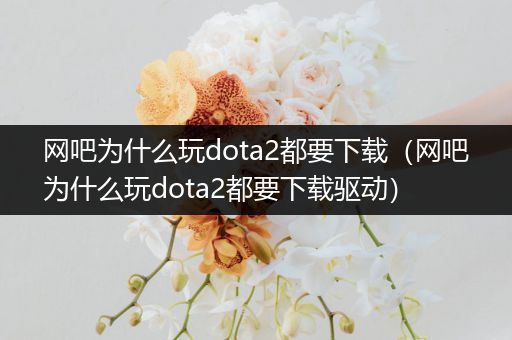 网吧为什么玩dota2都要下载（网吧为什么玩dota2都要下载驱动）