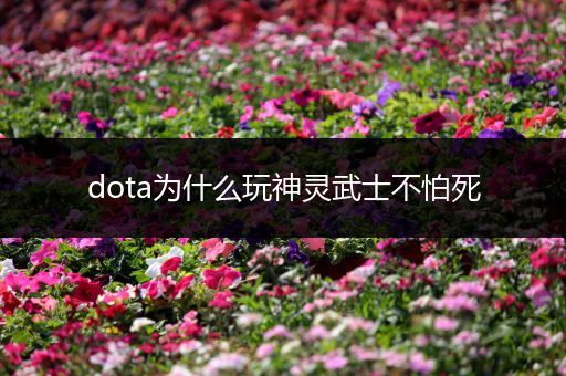 dota为什么玩神灵武士不怕死