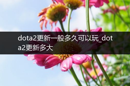dota2更新一般多久可以玩_dota2更新多大