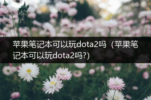 苹果笔记本可以玩dota2吗（苹果笔记本可以玩dota2吗?）