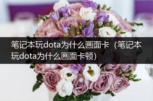笔记本玩dota为什么画面卡（笔记本玩dota为什么画面卡顿）