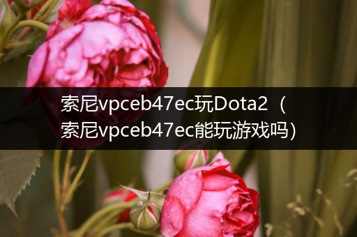 索尼vpceb47ec玩Dota2（索尼vpceb47ec能玩游戏吗）