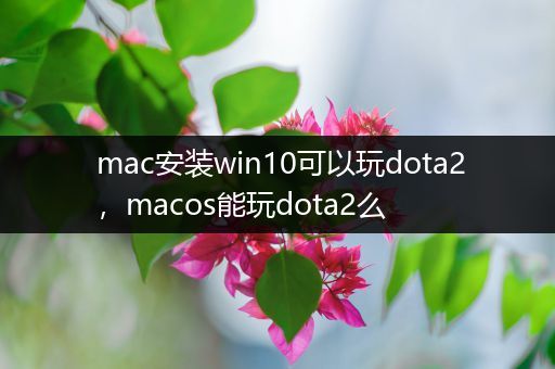 mac安装win10可以玩dota2，macos能玩dota2么