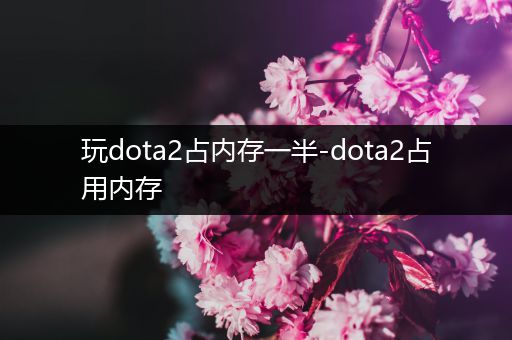 玩dota2占内存一半-dota2占用内存