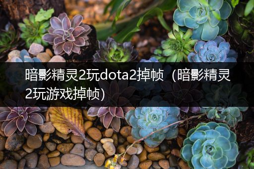 暗影精灵2玩dota2掉帧（暗影精灵2玩游戏掉帧）