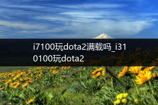 i7100玩dota2满载吗_i310100玩dota2