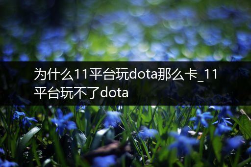 为什么11平台玩dota那么卡_11平台玩不了dota
