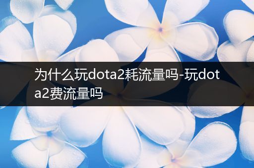 为什么玩dota2耗流量吗-玩dota2费流量吗