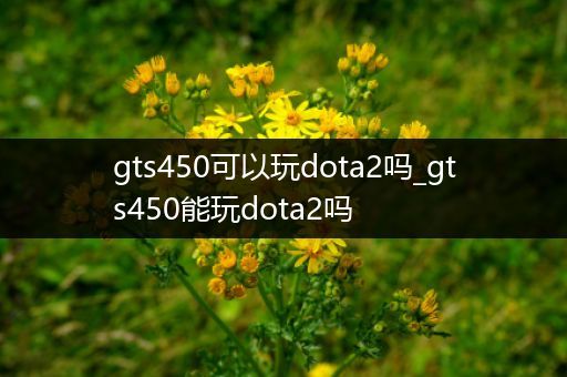 gts450可以玩dota2吗_gts450能玩dota2吗