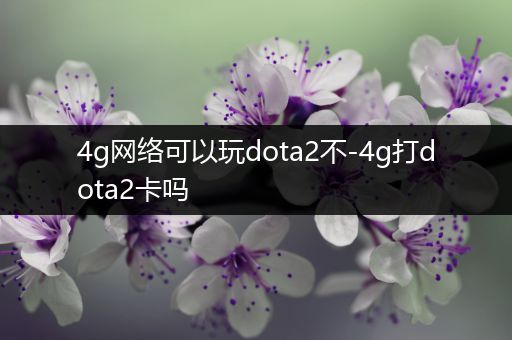 4g网络可以玩dota2不-4g打dota2卡吗