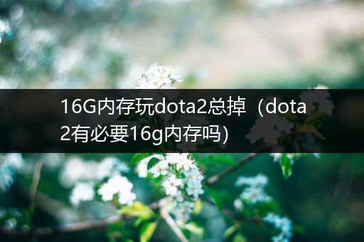 16G内存玩dota2总掉（dota2有必要16g内存吗）