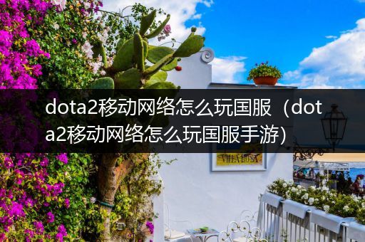 dota2移动网络怎么玩国服（dota2移动网络怎么玩国服手游）