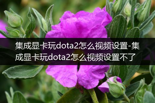 集成显卡玩dota2怎么视频设置-集成显卡玩dota2怎么视频设置不了