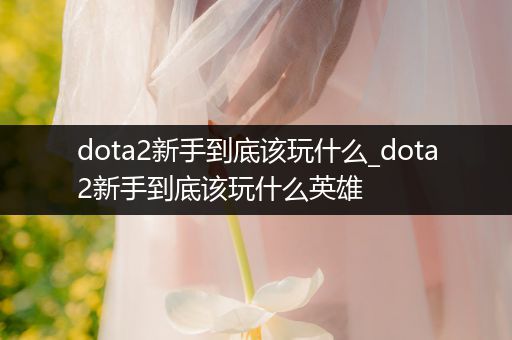 dota2新手到底该玩什么_dota2新手到底该玩什么英雄