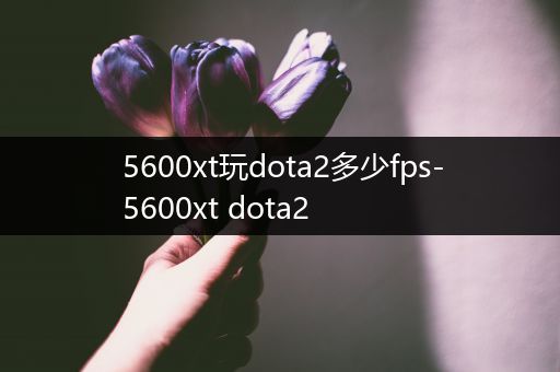 5600xt玩dota2多少fps-5600xt dota2