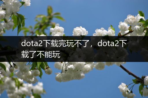 dota2下载完玩不了，dota2下载了不能玩
