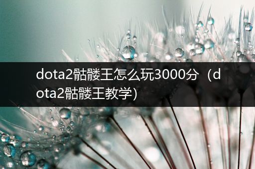 dota2骷髅王怎么玩3000分（dota2骷髅王教学）