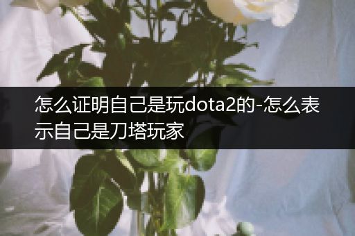 怎么证明自己是玩dota2的-怎么表示自己是刀塔玩家