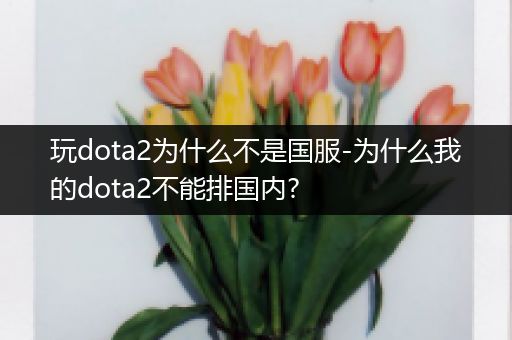 玩dota2为什么不是国服-为什么我的dota2不能排国内?